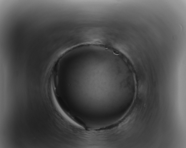 X0000088391455200705291358