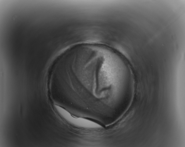 X0000088391456200705291358