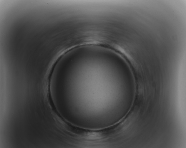 X0000088391459200705291358