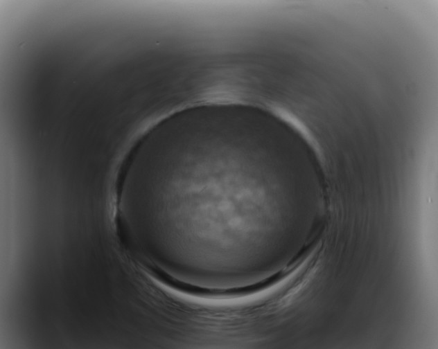 X0000088391461200705291358