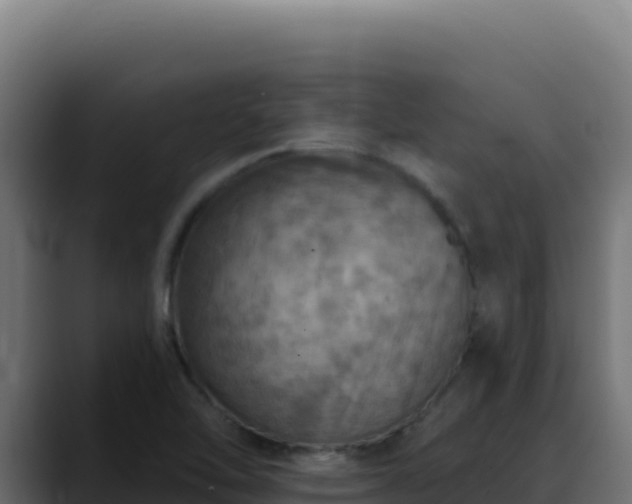 X0000088391462200705291358