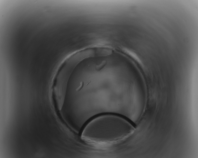 X0000088391463200705291358