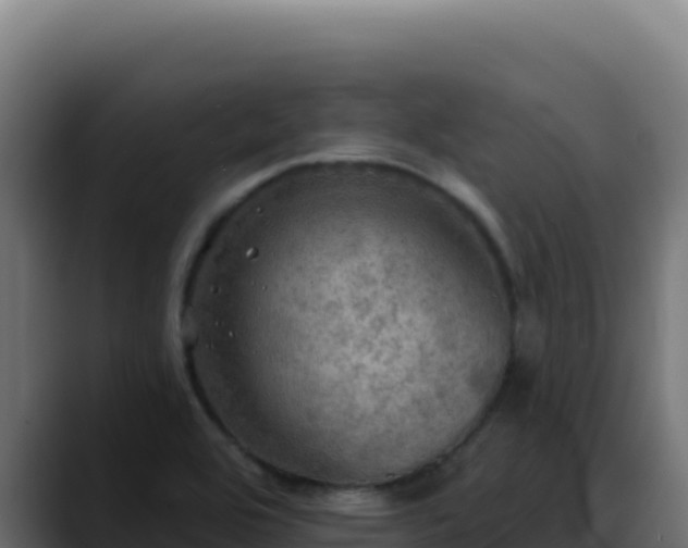 X0000088391464200705291358