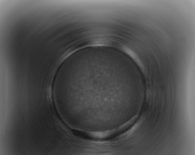 X0000088391465200705291358