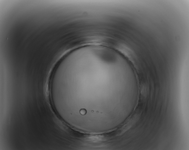 X0000088391466200705291358