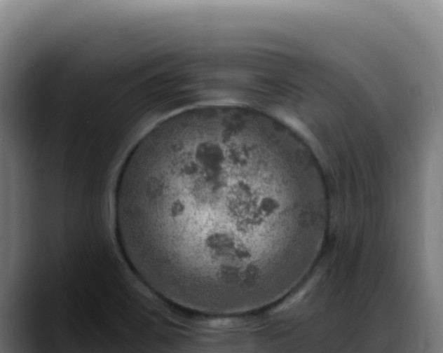 X0000088391467200705291358