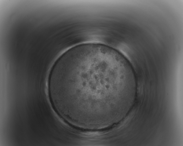 X0000088391468200705291358