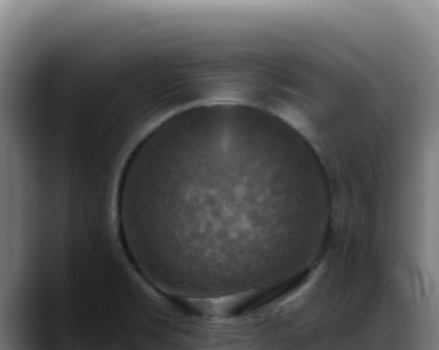 X0000088391469200705291358