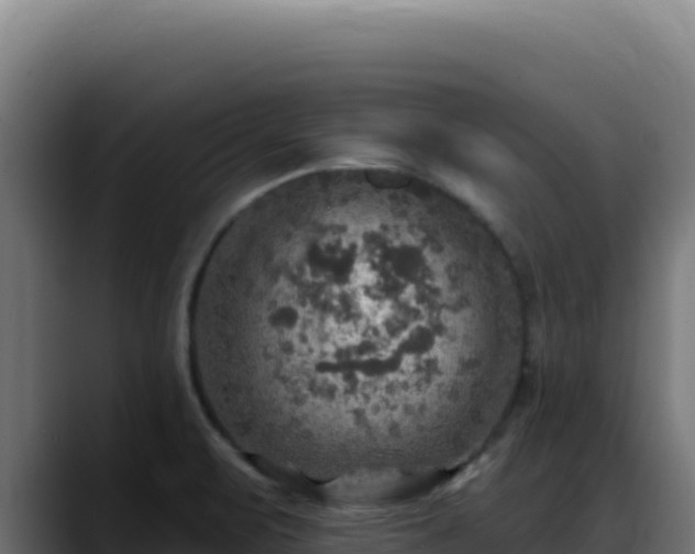 X0000088391471200705291358