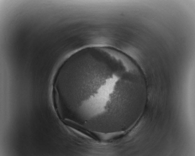 X0000088391472200705291358