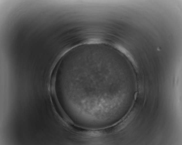 X0000088391473200705291358