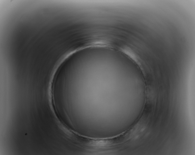 X0000088391474200705291358