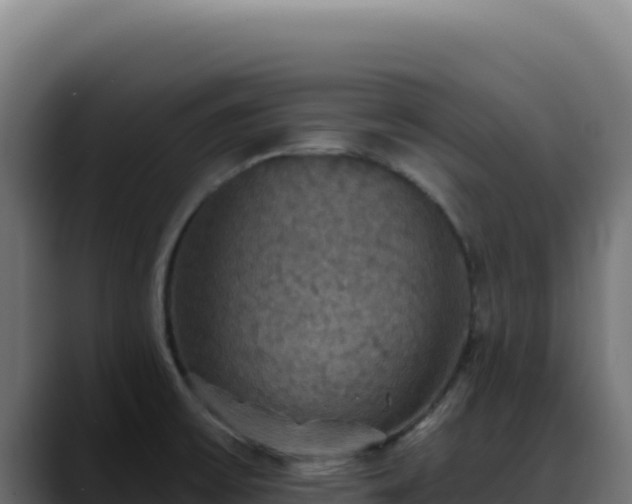 X0000088391475200705291358