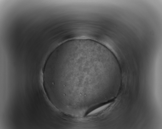 X0000088391476200705291358