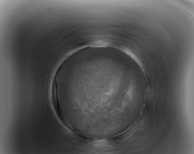 X0000088391477200705291358