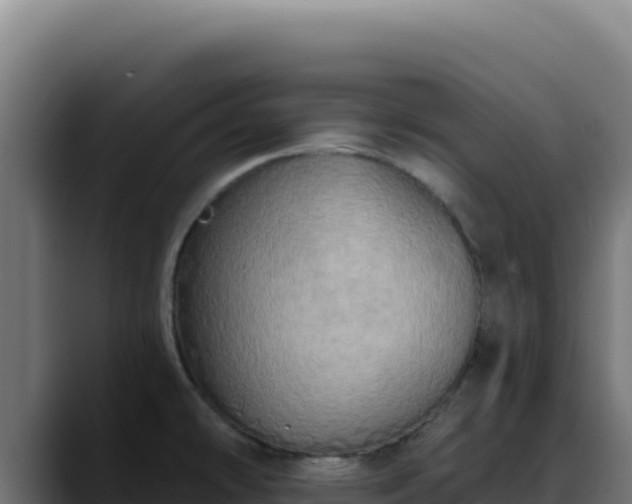 X0000088391478200705291358