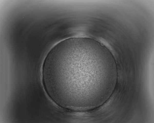 X0000088391479200705291358