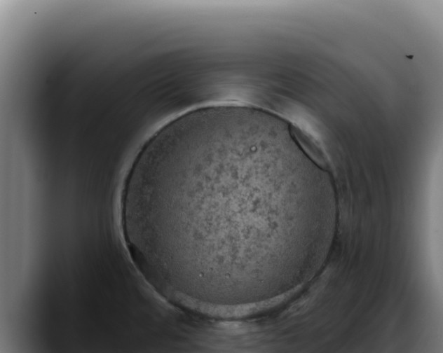 X0000088391480200705291358