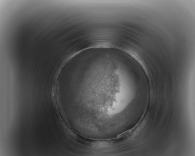 X0000088391481200705291358