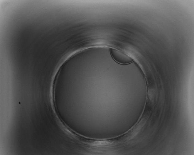 X0000088391482200705291358