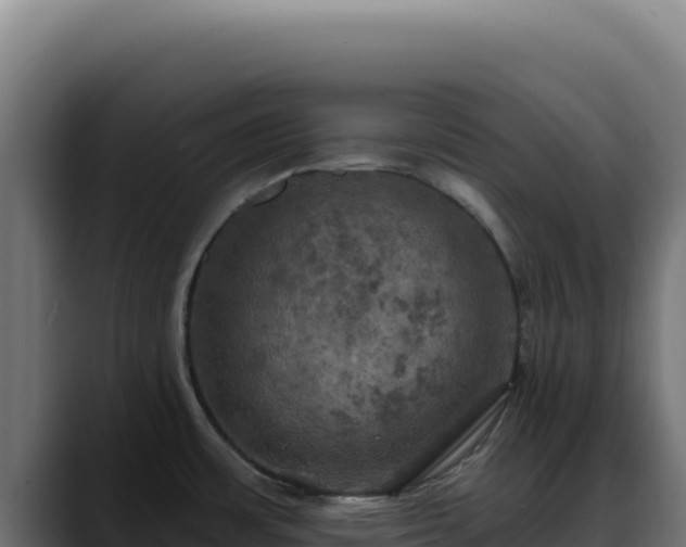 X0000088391483200705291358