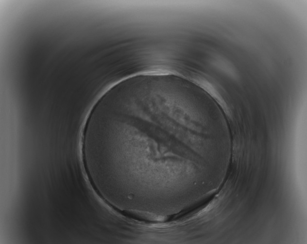 X0000088391484200705291358