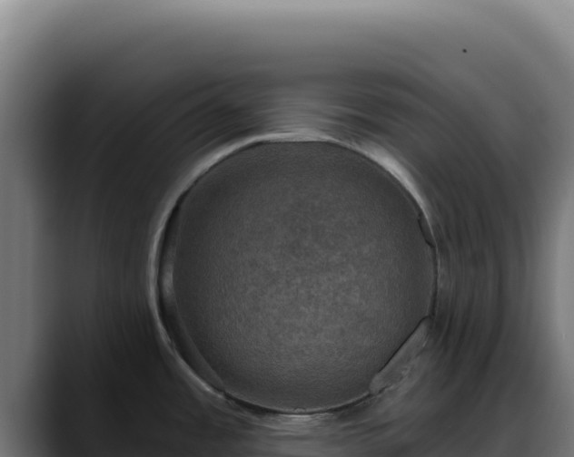 X0000088391485200705291358