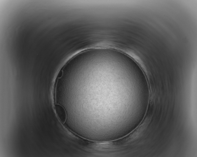 X0000088391486200705291358