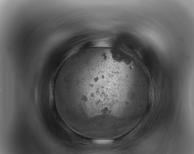 X0000088391487200705291358