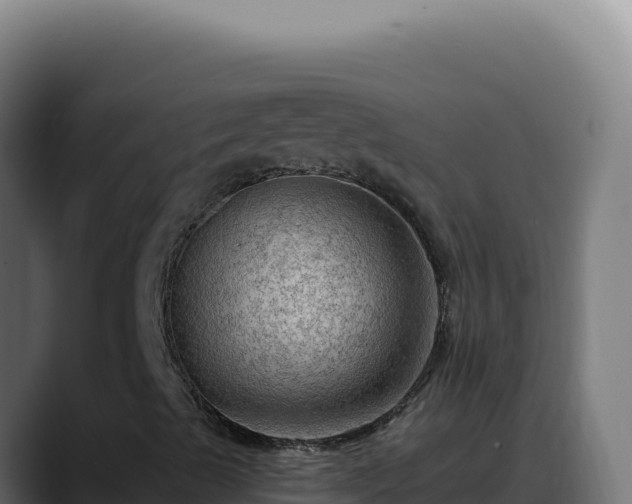 X0000088391489200705291357