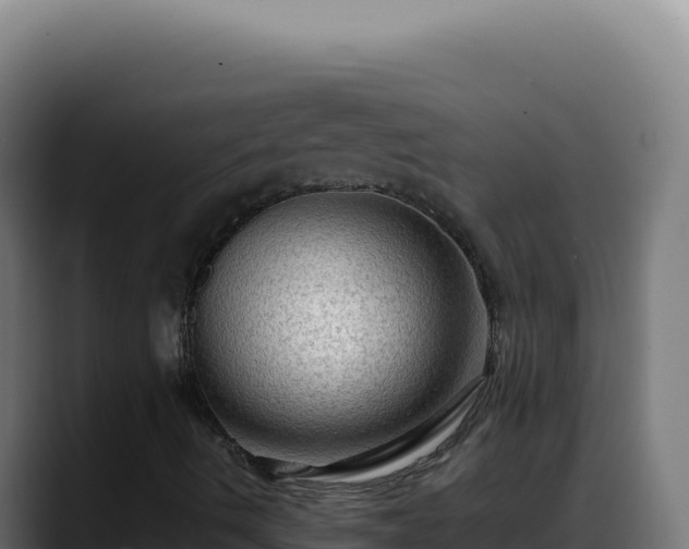 X0000088391490200705291357