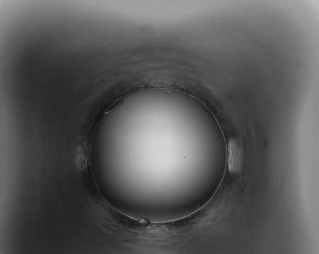 X0000088391491200705291357