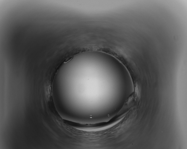 X0000088391492200705291357