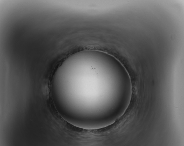 X0000088391493200705291357