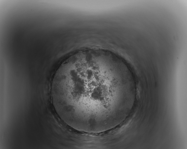 X0000088391494200705291357