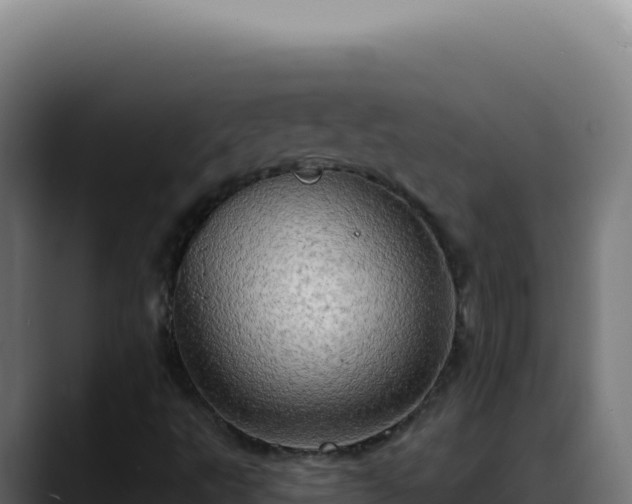 X0000088391495200705291357