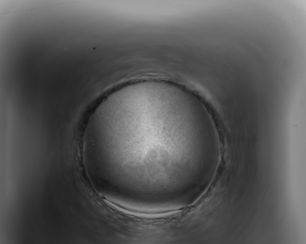 X0000088391496200705291357