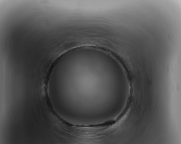 X0000088391497200705291357