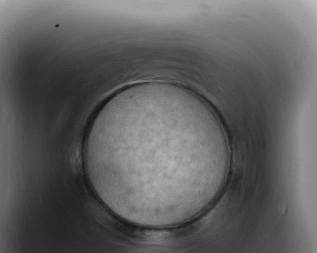 X0000088391498200705291357