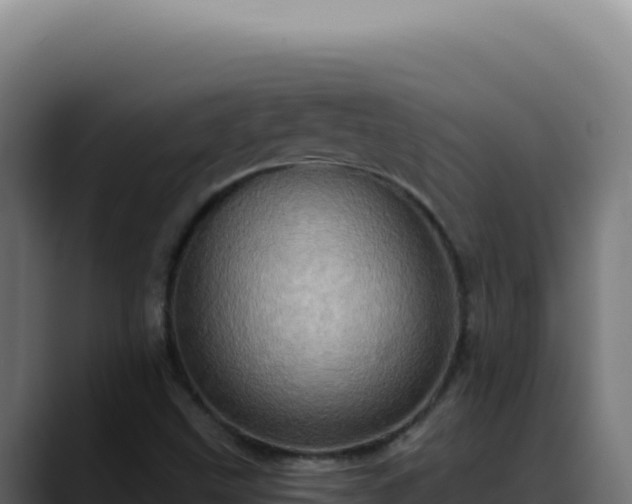 X0000088391499200705291357