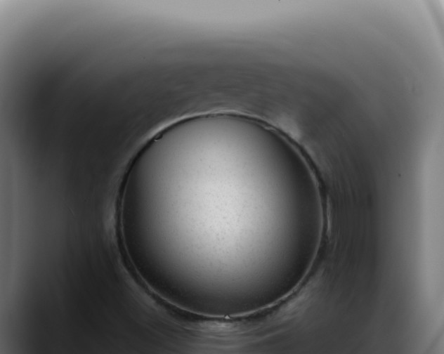 X0000088391500200705291357