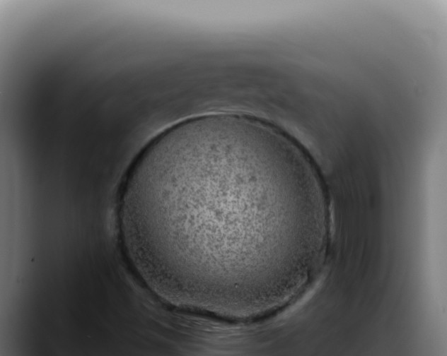 X0000088391501200705291357