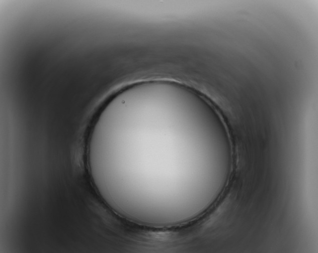 X0000088391502200705291357