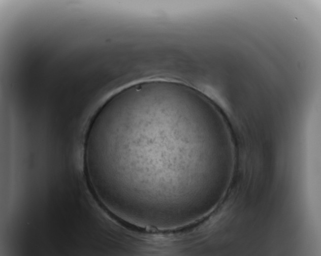 X0000088391504200705291357