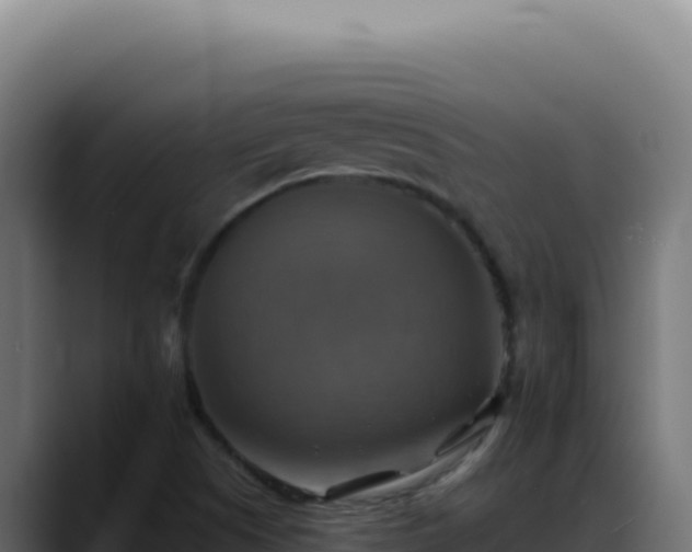 X0000088391505200705291357