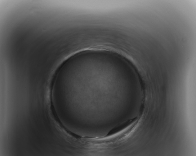 X0000088391506200705291357