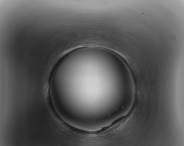 X0000088391507200705291357