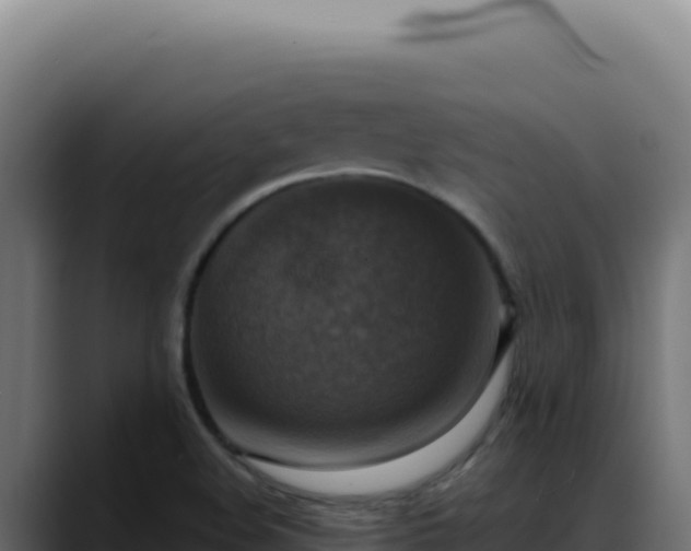 X0000088391508200705291357