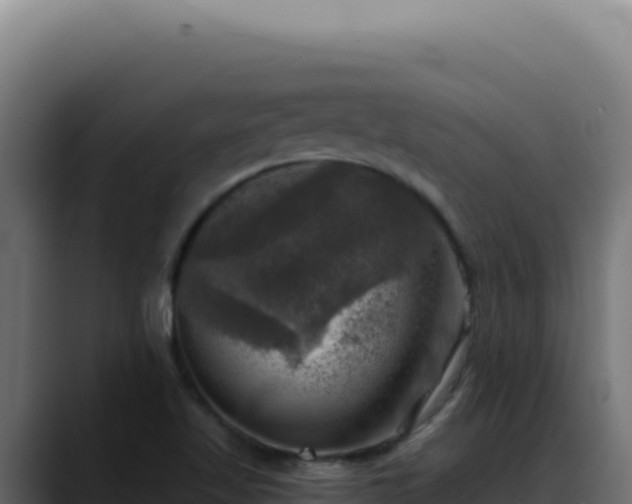 X0000088391509200705291357