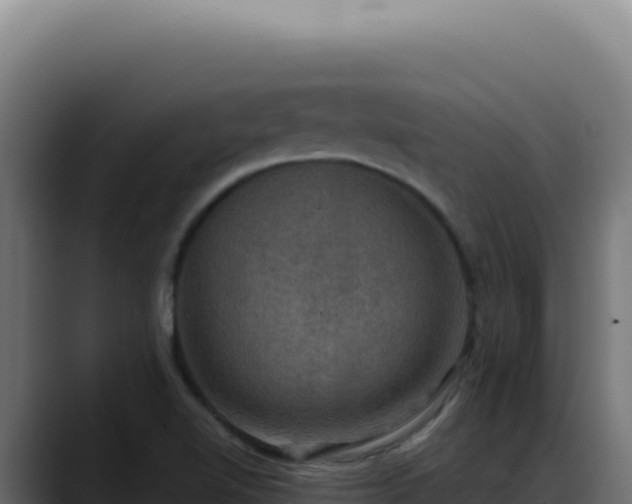 X0000088391510200705291357